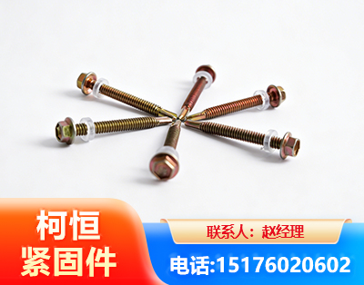 玉林六角钻尾丝