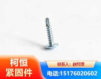 玉林华司钻尾丝